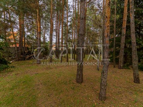 дом по адресу Травнева