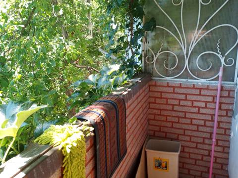 квартира за адресою Овідіопольська дорога вул., 71
