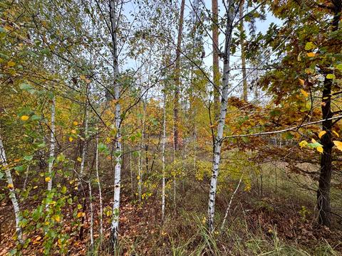 ділянка за адресою 11-та Лінія вул.