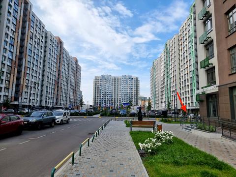 комерційна за адресою Тираспольська вул., 52