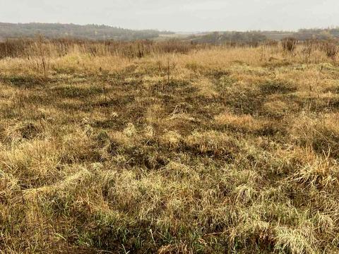 участок по адресу с. Давыдов, 