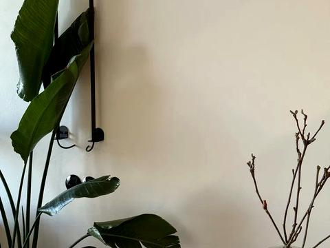 квартира за адресою Київ, Бульварно-Кудрявська вул. (Воровського), 17
