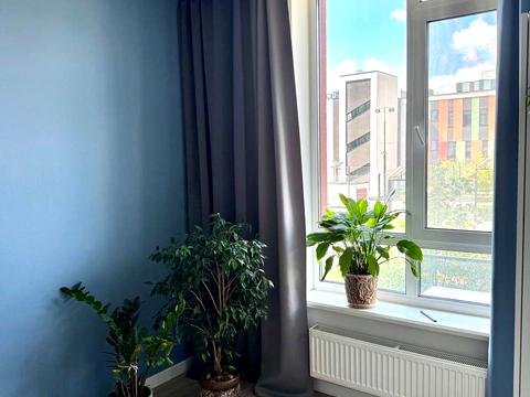 квартира за адресою Родини Кістяківських вул., 2-А