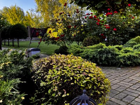 будинок за адресою с. Плюти, Абрикосова, 9