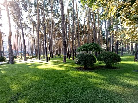 квартира по адресу Выговского ул. (Суворова), 1-Т