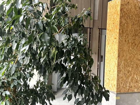 квартира по адресу Набережная Победы ул., 40-Д