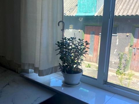 будинок за адресою Українська, 4