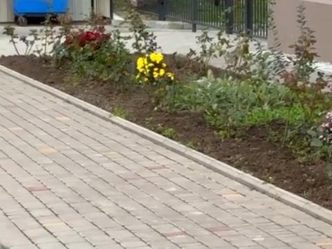 квартира за адресою Євгена Чикаленка вул., 58 А