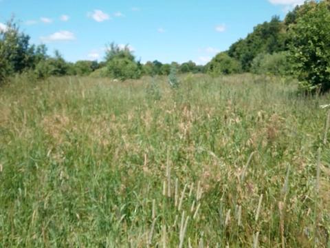 ділянка за адресою с. Павлівка, Калуське шосе