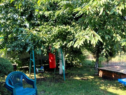 будинок за адресою Грушевского, 8
