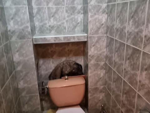 квартира за адресою Оноре де Бальзака вул., 83/2