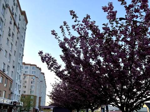 квартира за адресою Героїв Небесної Сотні просп., 30-1