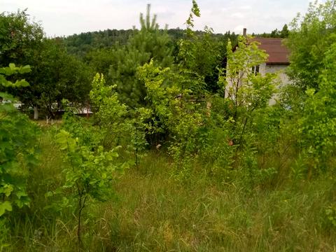 участок по адресу Лісова, 5