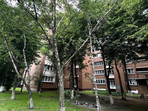 квартира по адресу Антоновича ул. (Горького), 154