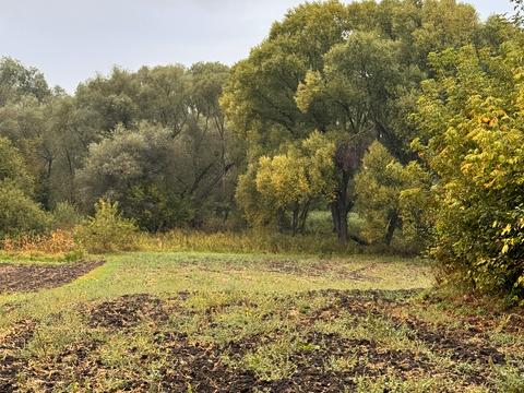 будинок за адресою с. Перегонівка, Механизмізаторів