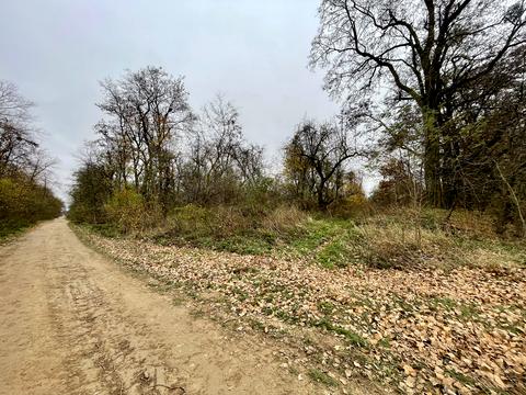 ділянка за адресою с. Іванівка, 