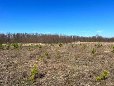 участок по адресу 