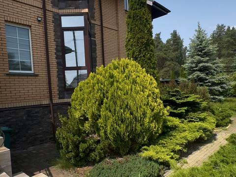 будинок за адресою Лесі Українки вул., 77