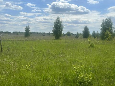 ділянка за адресою с. Нові Петрівці, 