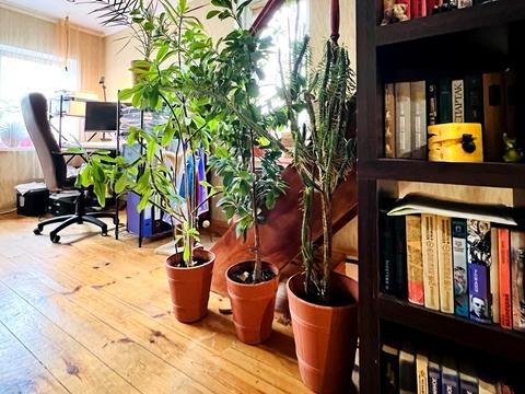 будинок за адресою Соснова