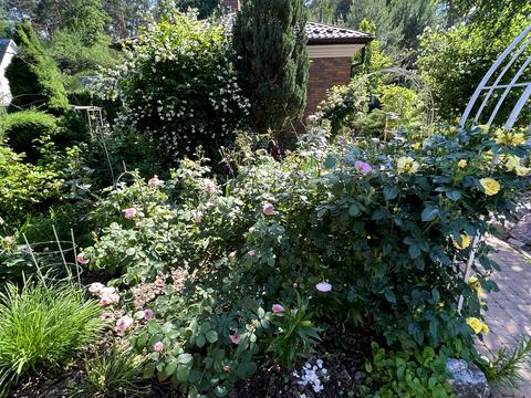 будинок за адресою смт. Козин, Козацька вул.