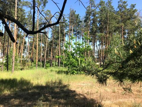 ділянка за адресою Петра Сагайдачного, 50