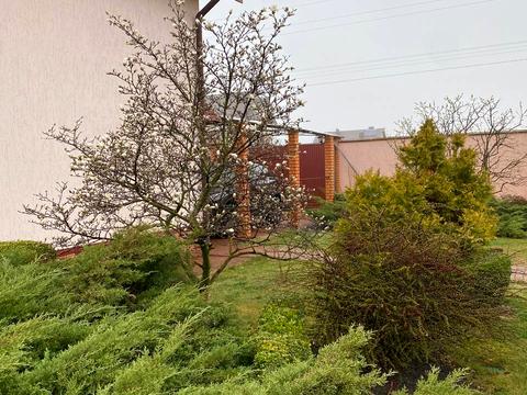 будинок за адресою Лесі Українки