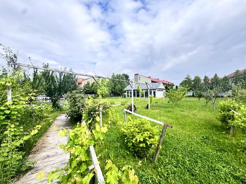 участок по адресу с. Новые петровцы, 