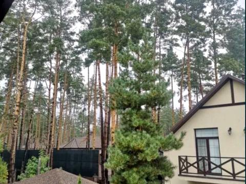 дом по адресу Антония Михайловского ул.