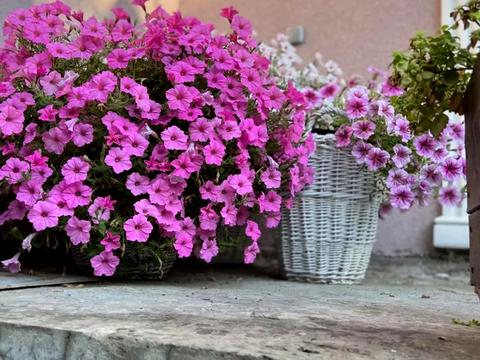 будинок за адресою Чаплинська вул.