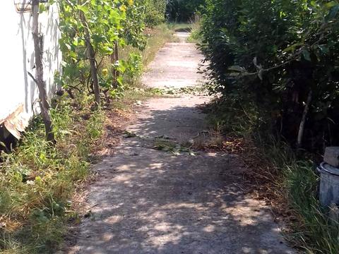 будинок за адресою Вільне