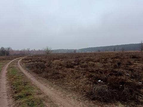участок по адресу с. Гавриловка, 