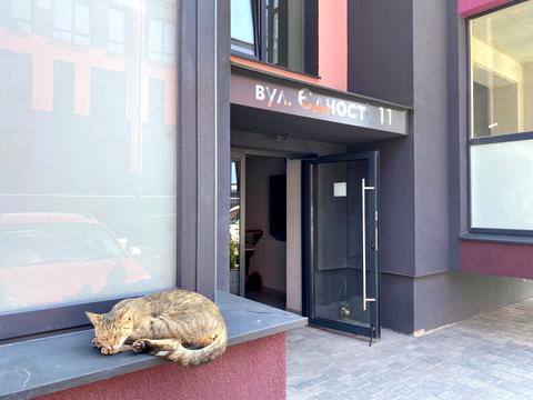 квартира за адресою Єдності вул. (Чебишева), 11