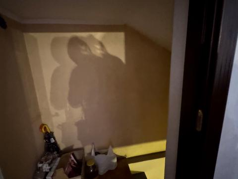 будинок за адресою Кінна вул.