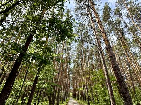 будинок за адресою Київ, Вишгородська вул.