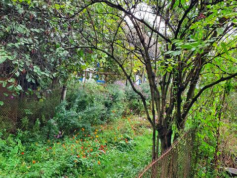 ділянка за адресою Франка