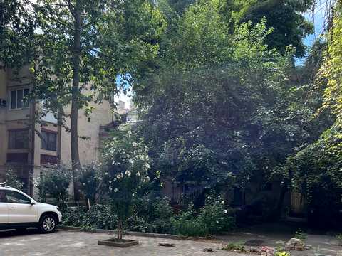 квартира по адресу Пироговская ул., 5
