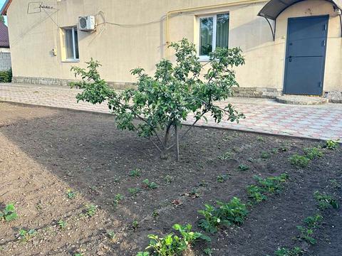 будинок за адресою Уляни Крюченко вул. (Череповецька), 3