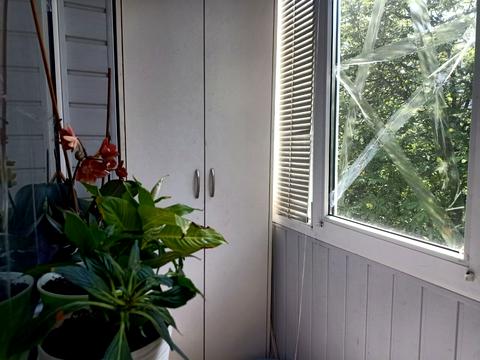 квартира по адресу Маршала Рыбалко ул., 89