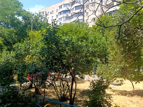 квартира по адресу Академика Королёва ул., 83/1