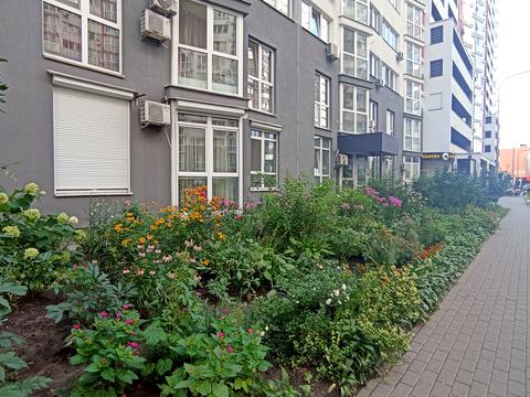 квартира за адресою Драгоманова вул., 2-Б