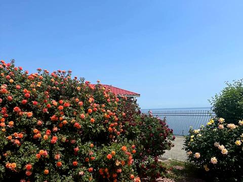 будинок за адресою Берегова вул.