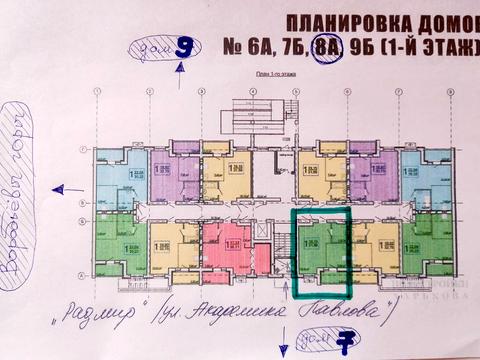 квартира по адресу казакевича, 38