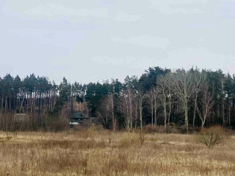 ділянка за адресою Озерна