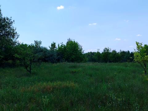 участок по адресу Київська