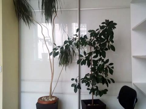 квартира за адресою Лісовий просп., 19