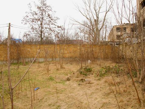 ділянка за адресою смт. Овідіополь, тетаральна