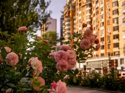 квартира по адресу Леси Украинки бульв., 7-Б