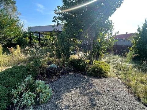 ділянка за адресою Сонячна, 1