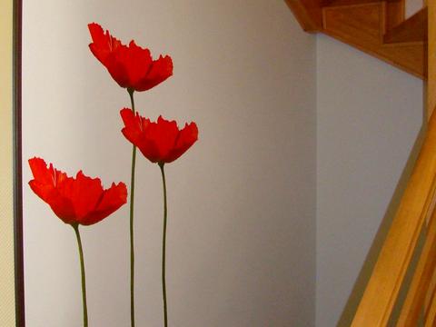 будинок за адресою Київ, Садова